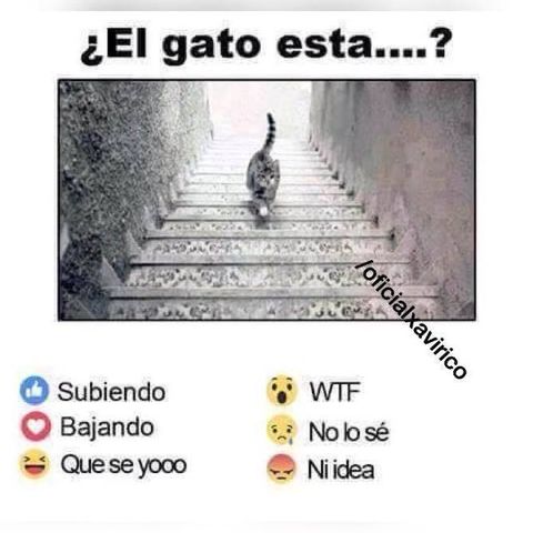 Sin Nombre